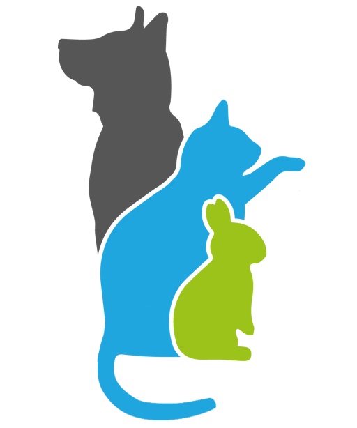 cropped-dierenarts-rotterdam-crooswijk-1 Dierenarts Rotterdam Crooswijk